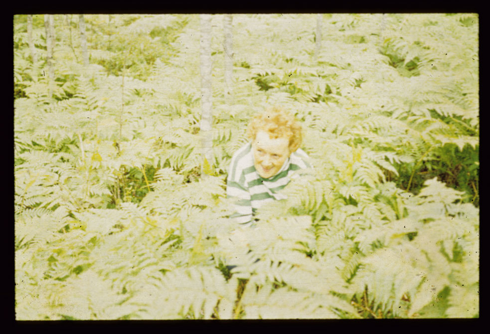 36Svea-bland-ormbunkar 36Svea-bland-ormbunkar