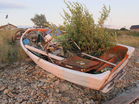 Håkan Magnussons Universum